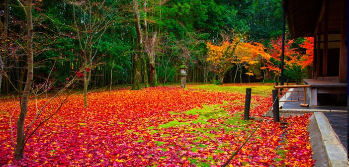 【日本を楽しもう】10月の伝統行事・イベント・食材　（神無月　紅葉狩）　